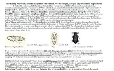 The Killing Power of Laricobius nigrinus on Hemlock Woolly Adelgid